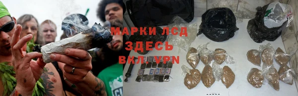 ECSTASY Аркадак