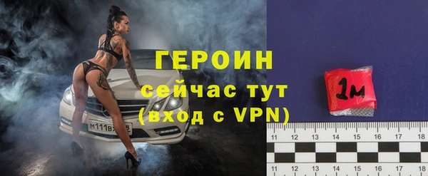 хмурый Арсеньев