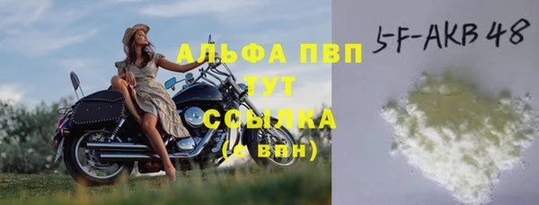 хмурый Арсеньев