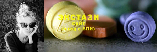 хмурый Арсеньев