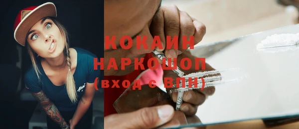 хмурый Арсеньев