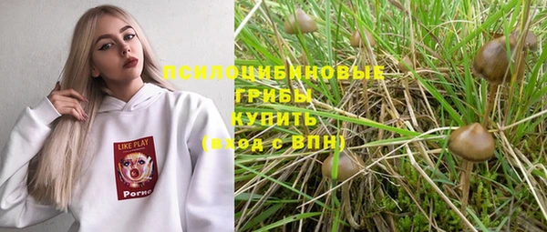хмурый Арсеньев