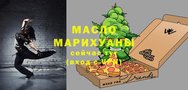 хмурый Арсеньев